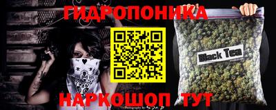 ECSTASY Кингисепп