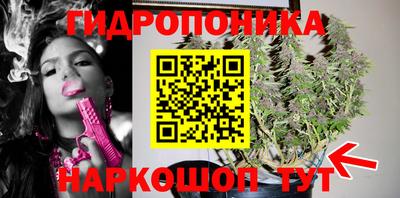 гашиш Кимры